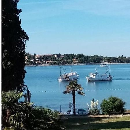 Apartment Villa Angelina, 70M From The Beach, Free Parking Novigrad (Istria) Exterior foto