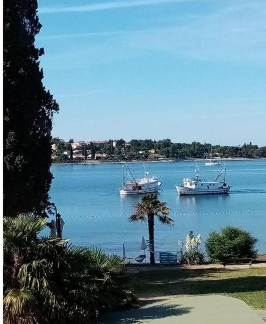 Apartment Villa Angelina, 70M From The Beach, Free Parking Novigrad (Istria) Exterior foto