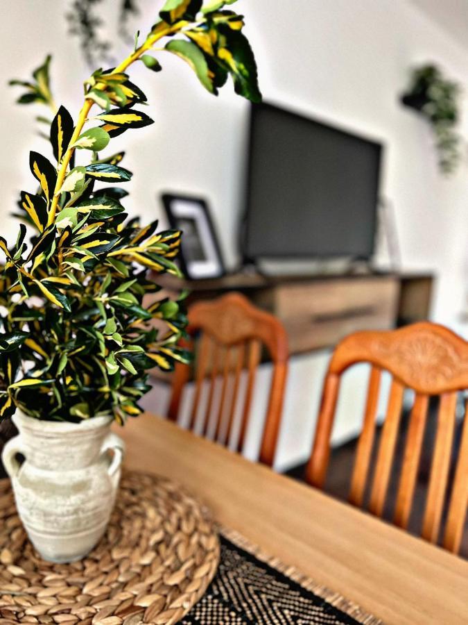 Apartment Villa Angelina, 70M From The Beach, Free Parking Novigrad (Istria) Exterior foto
