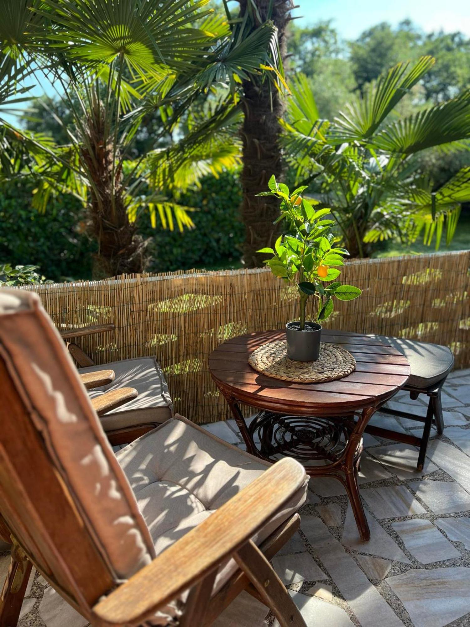 Apartment Villa Angelina, 70M From The Beach, Free Parking Novigrad (Istria) Exterior foto