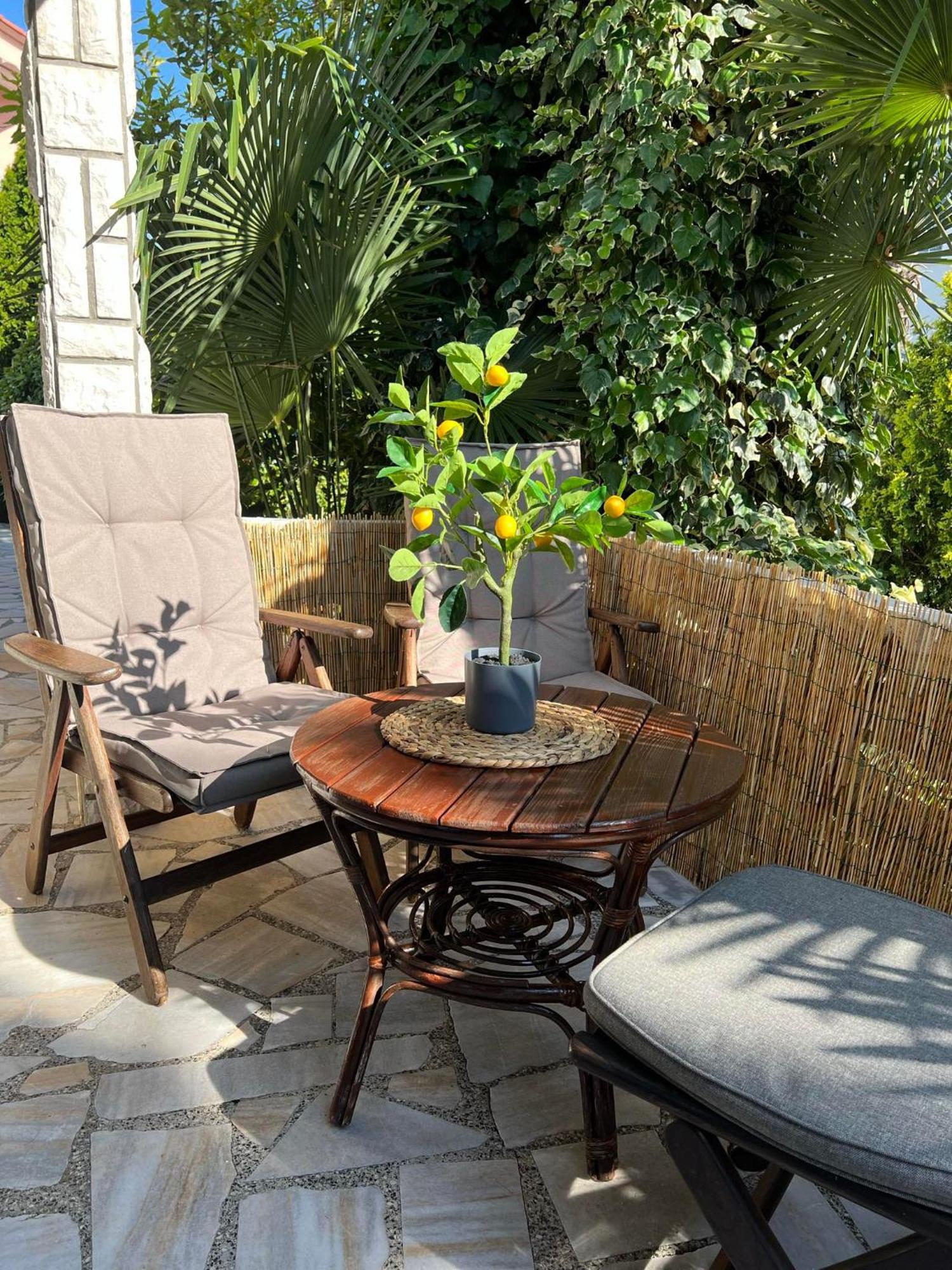 Apartment Villa Angelina, 70M From The Beach, Free Parking Novigrad (Istria) Exterior foto