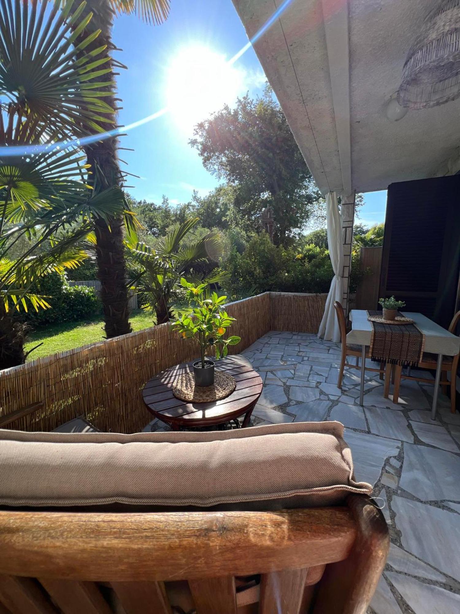 Apartment Villa Angelina, 70M From The Beach, Free Parking Novigrad (Istria) Exterior foto
